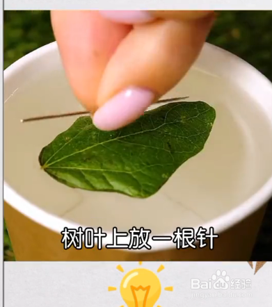 户外野营的小技巧