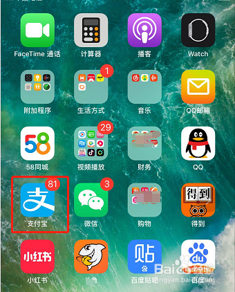 怎样签到领取支付宝会员积分