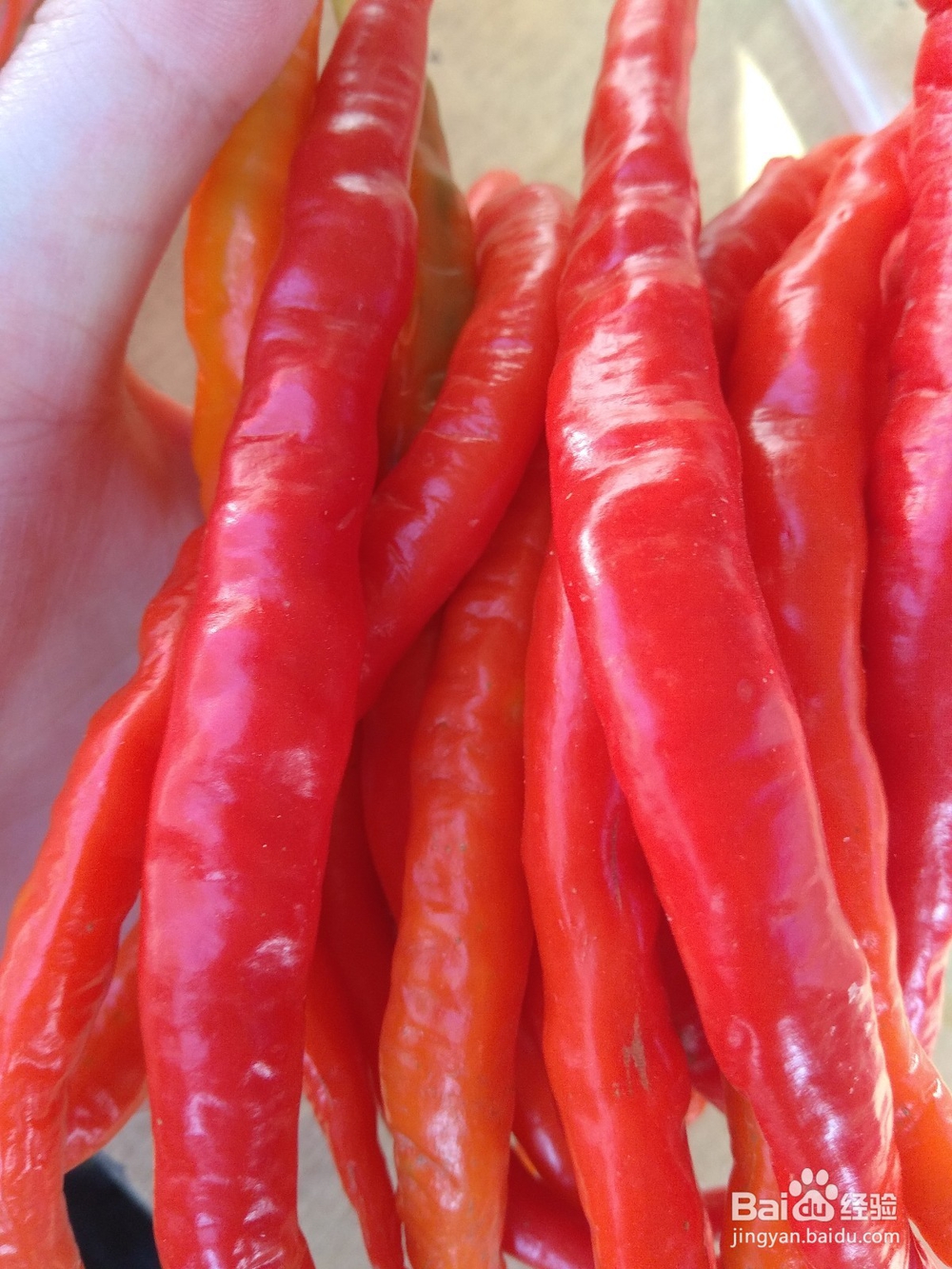 酒泡红辣椒的做法