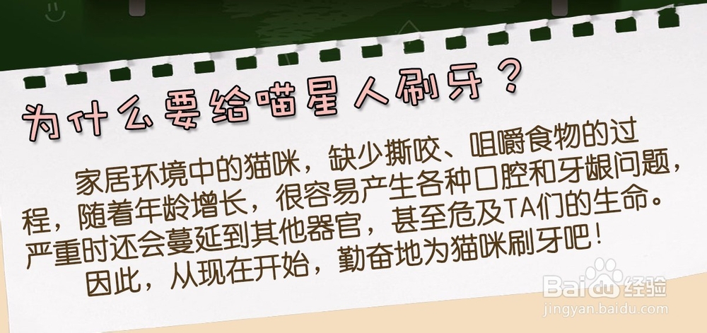 怎样为猫咪刷牙？