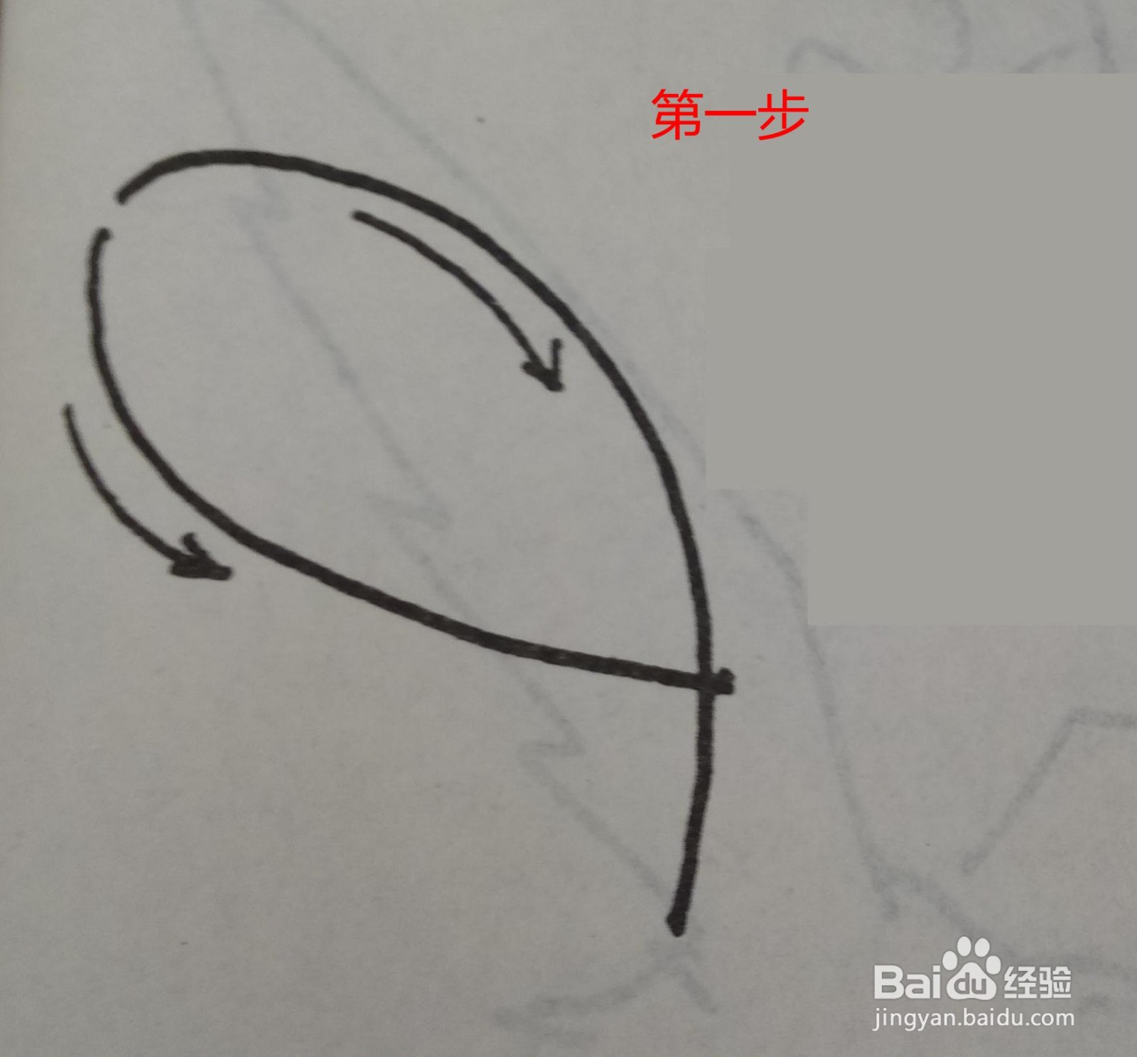 鹰的简笔画的画法