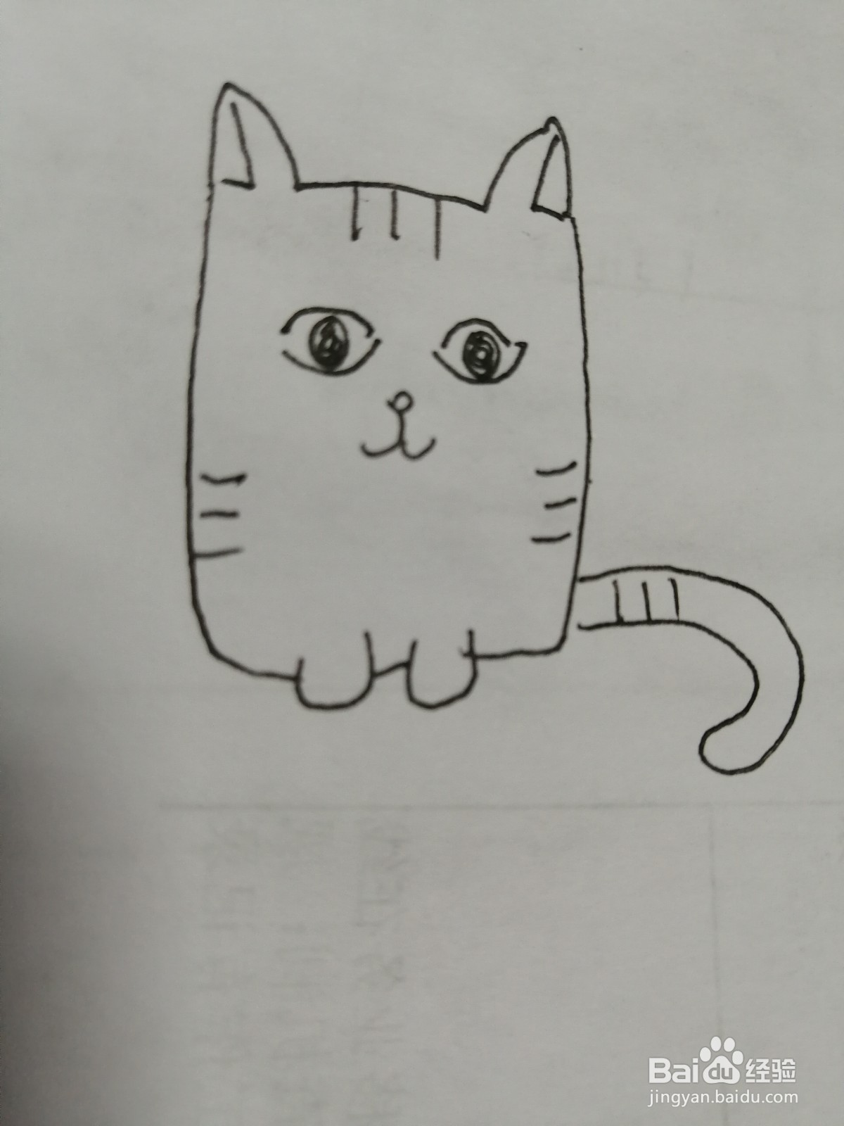 可爱的小猫咪怎么画