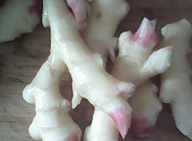 甜椒炒肉的做法