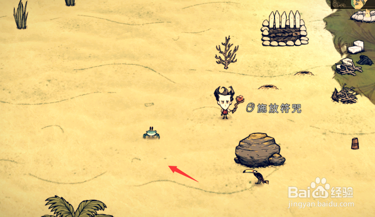 饥荒海滩如何抓螃蟹