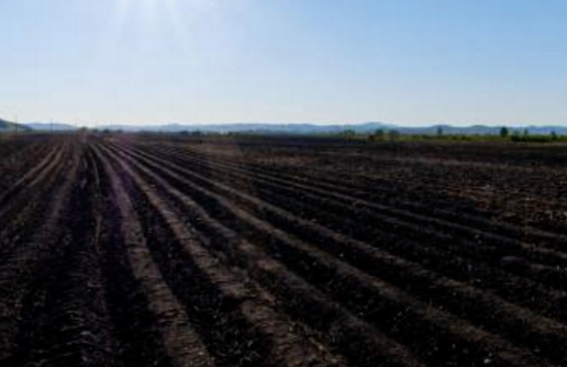 黑土与黑钙土有什么区别