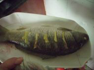 家庭版清蒸鲤鱼