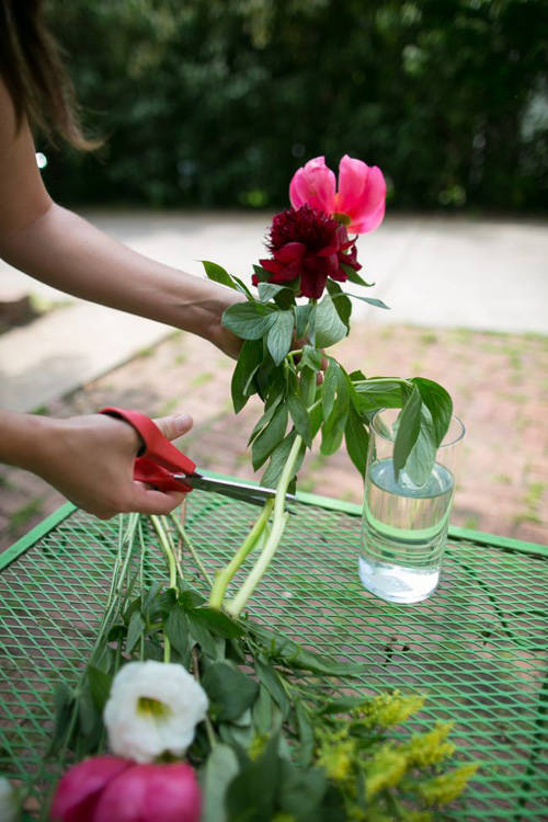 怎么养才能让鲜花活得更久点