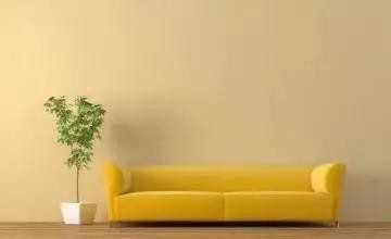 科普：市面上长期流传的除甲醛方法靠不靠谱呢？