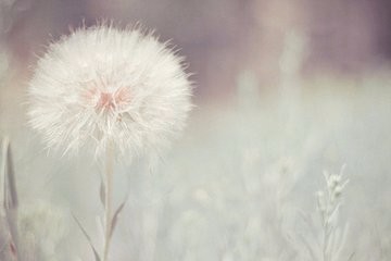 创业高手的挣钱绝招