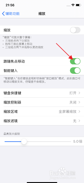 iphone11怎么开启缩放的跟随焦点移动