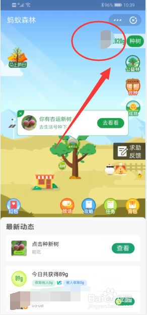 支付宝蚂蚁森林怎么收取能量