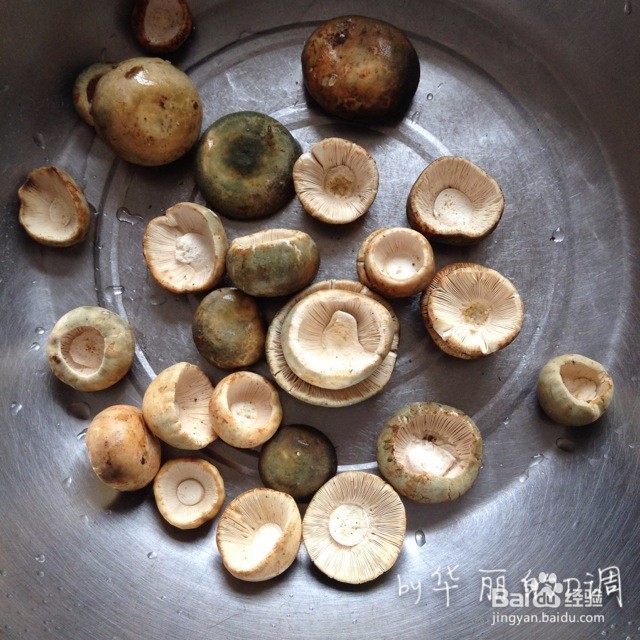 青头菌包肉做法