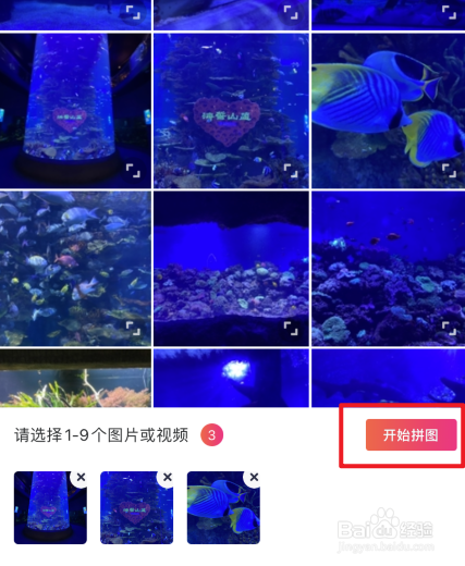 苹果手机怎么拼图照片在一起