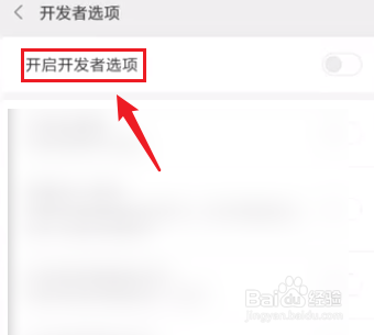 小米9开发者选项在哪