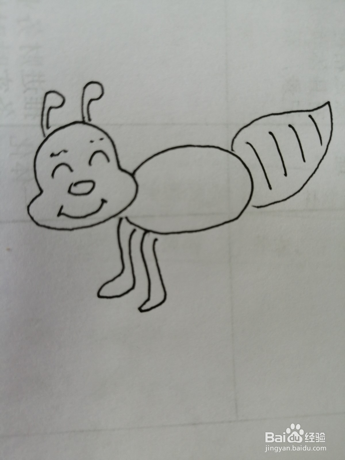 简笔画昆虫怎么画