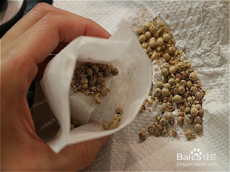 怎样做出家常菜系列之胡椒猪肚鸡汤