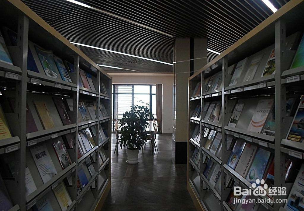 夏天到了怎么预防孩子中暑