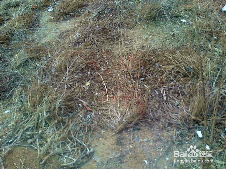 要保护植被就不要踩踏