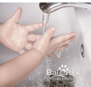 禽流感期间注意事项