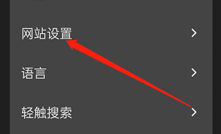 狐猴浏览器怎样设置“第三方登录”