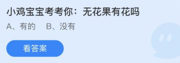 小鸡宝宝考考你无花果有花吗