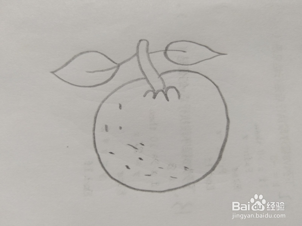 简笔画橘子画法6