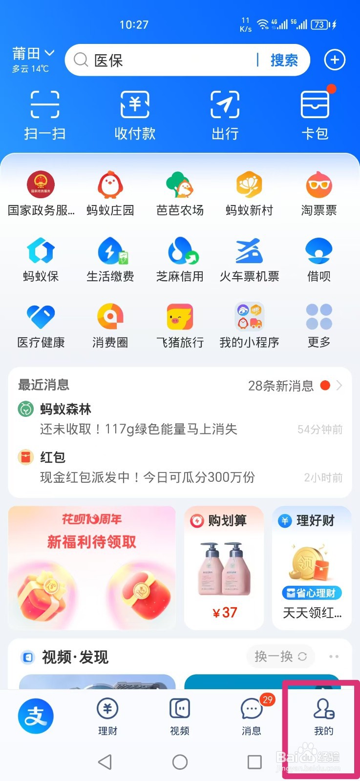 支付宝2024年总支出金额怎么查