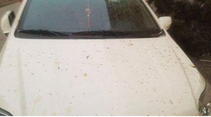 污渍渗入车漆怎么处理