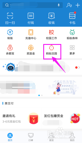 蚂蚁庄园如何喂小鸡饲料