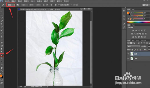 ps实用小技巧：快速抠出植物