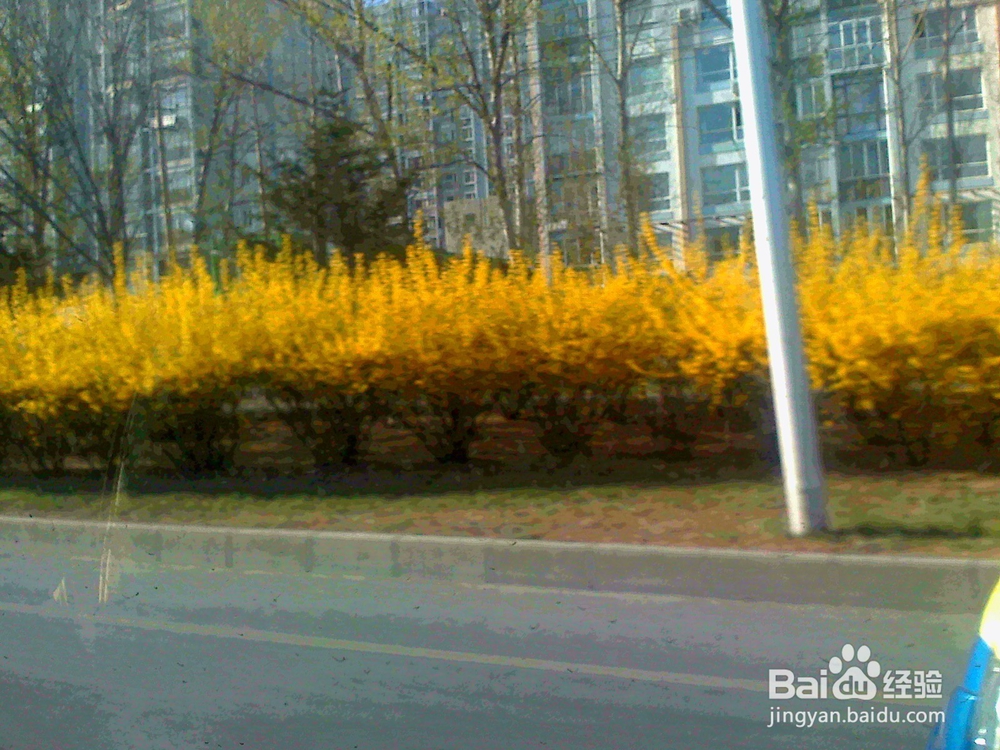 和女朋友发生政治分歧怎么办?