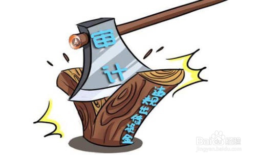审计过程中,如何了解公司经营环境