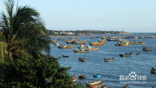 去越南自助游买什么保险合适?