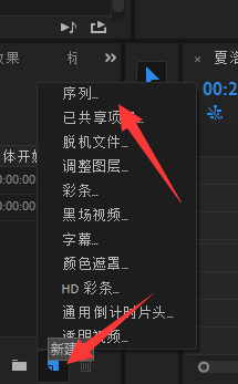 Premiere Pro 2020如何给视频局位马赛克