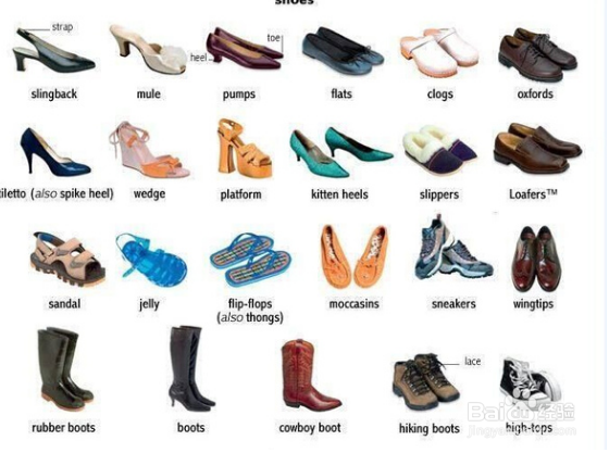 英语中鞋子有哪些单词可以表达