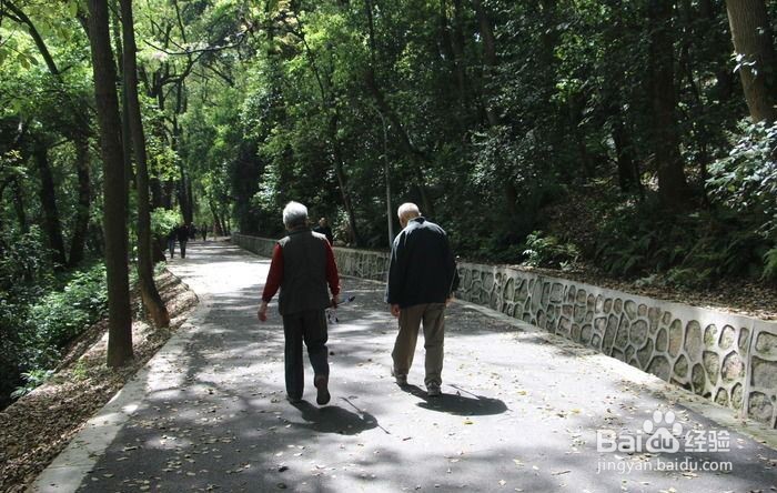 心脑血管养生的误区