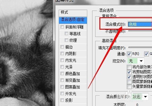 快速利用ps将图片变成素描