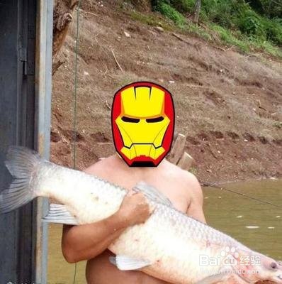 玉米棒子打窝技巧