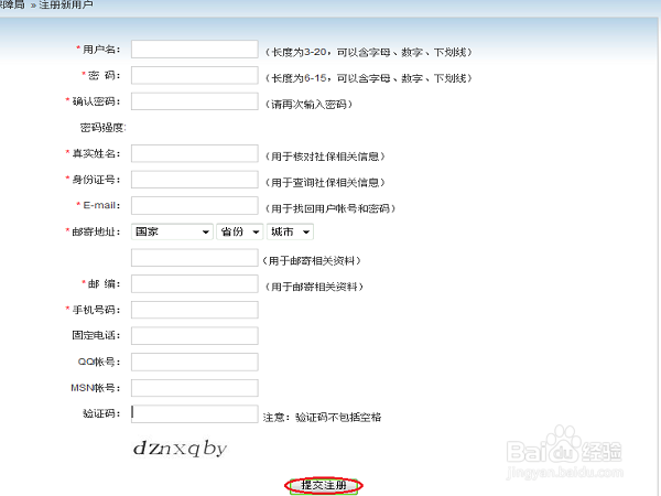 如何查询个人账户社保余额及缴费明细