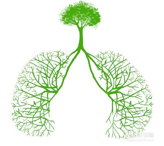 宝宝吃完饭后吐怎么办