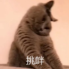 奔跑吧彩球攻略