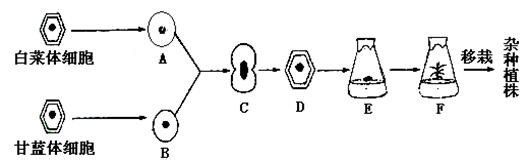 高三如何复习生物育种问题