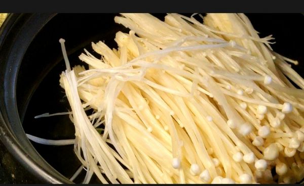 金针菇石屏豆腐煲