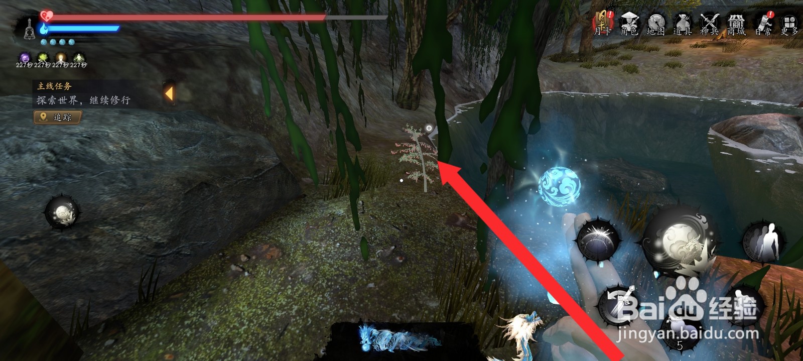 捕盗行纪如何获取到2株枸杞药材