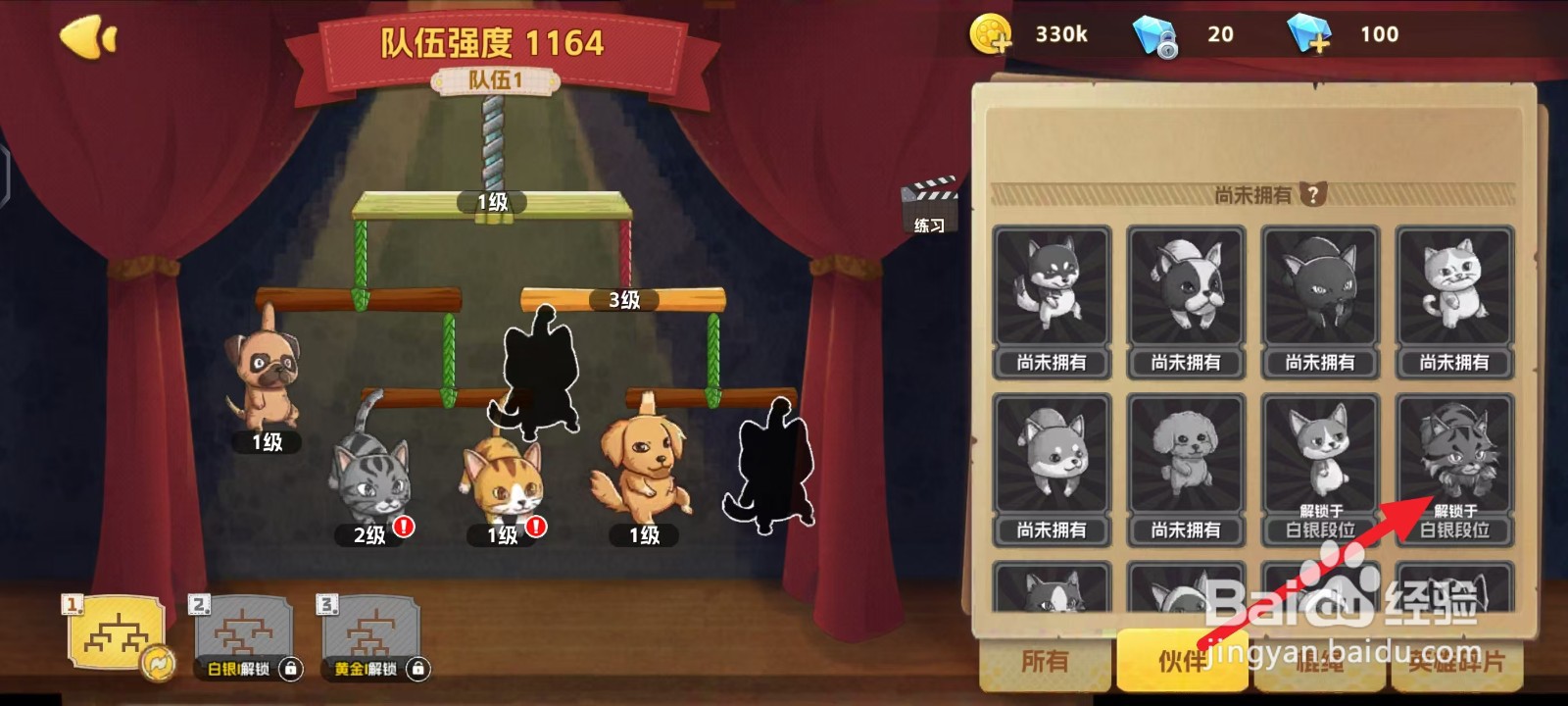 如何查看狗狗呼叫喵星缅因猫的割绳?