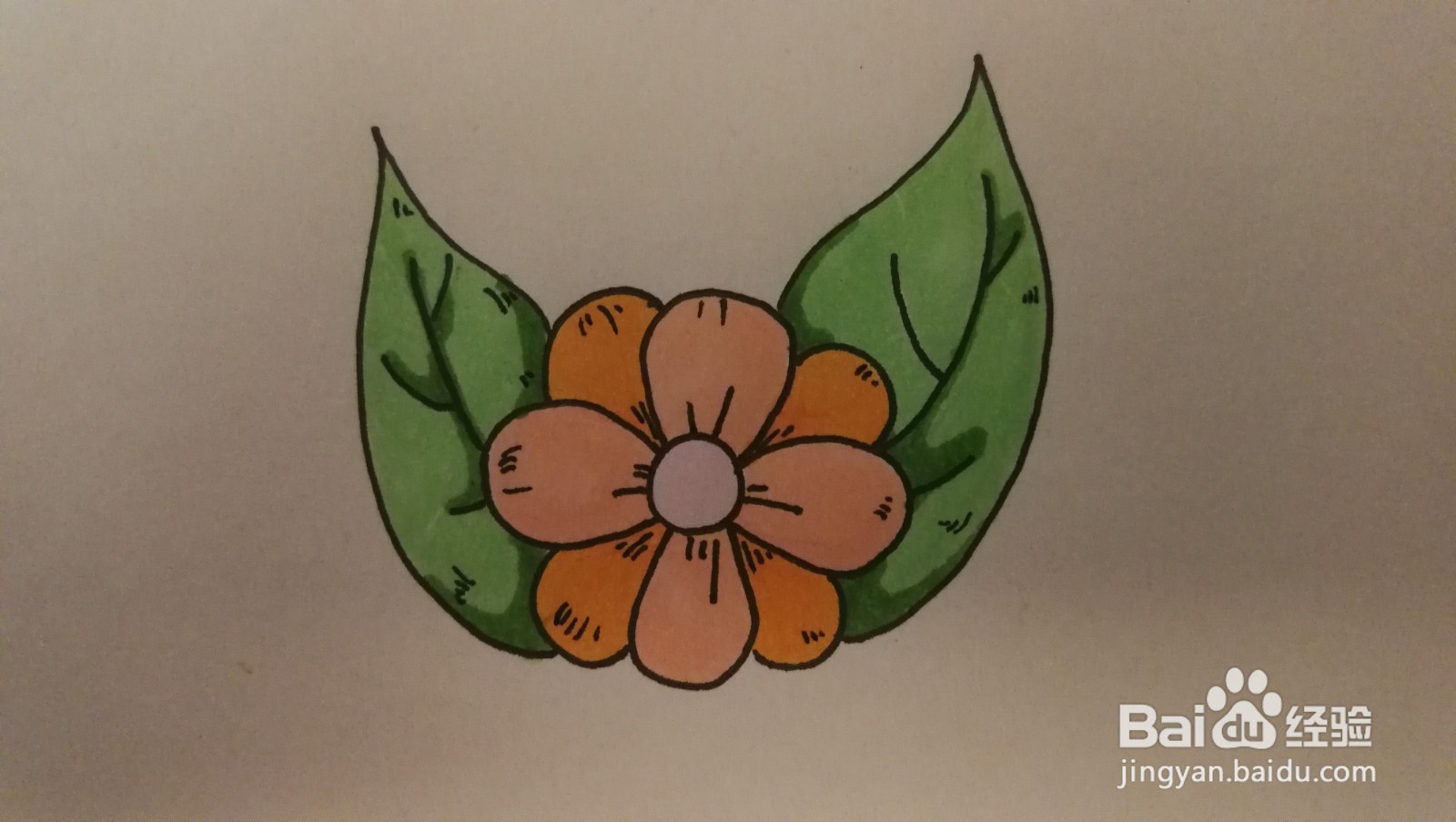 #经验分享官#花朵和叶子简笔画