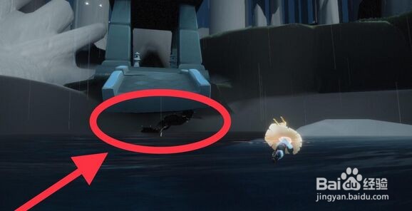 《光遇》12月13日每日任务攻略2021