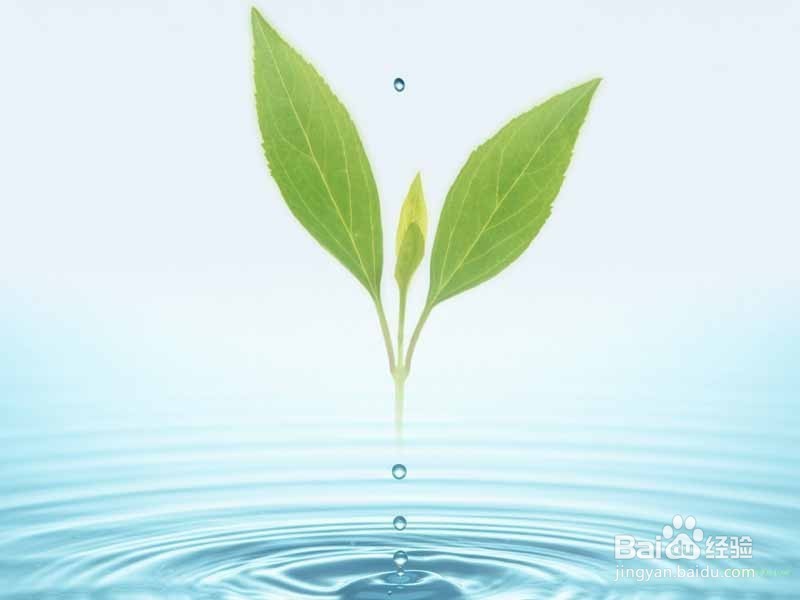 苹果手机如何删除通讯录?【详细】