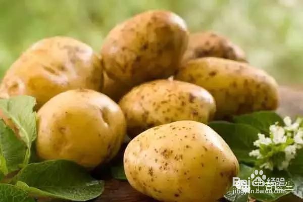这几种食品, 煮不熟、挑不好会中毒!
