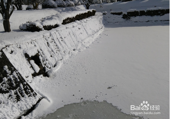 一条性价比爆棚的万元以下日本北海道观雪路线